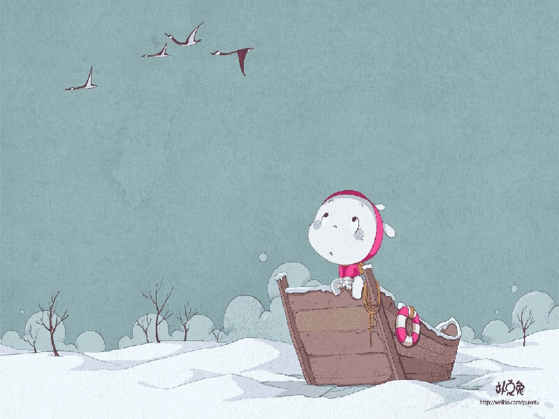 李先生夫妇成功案例